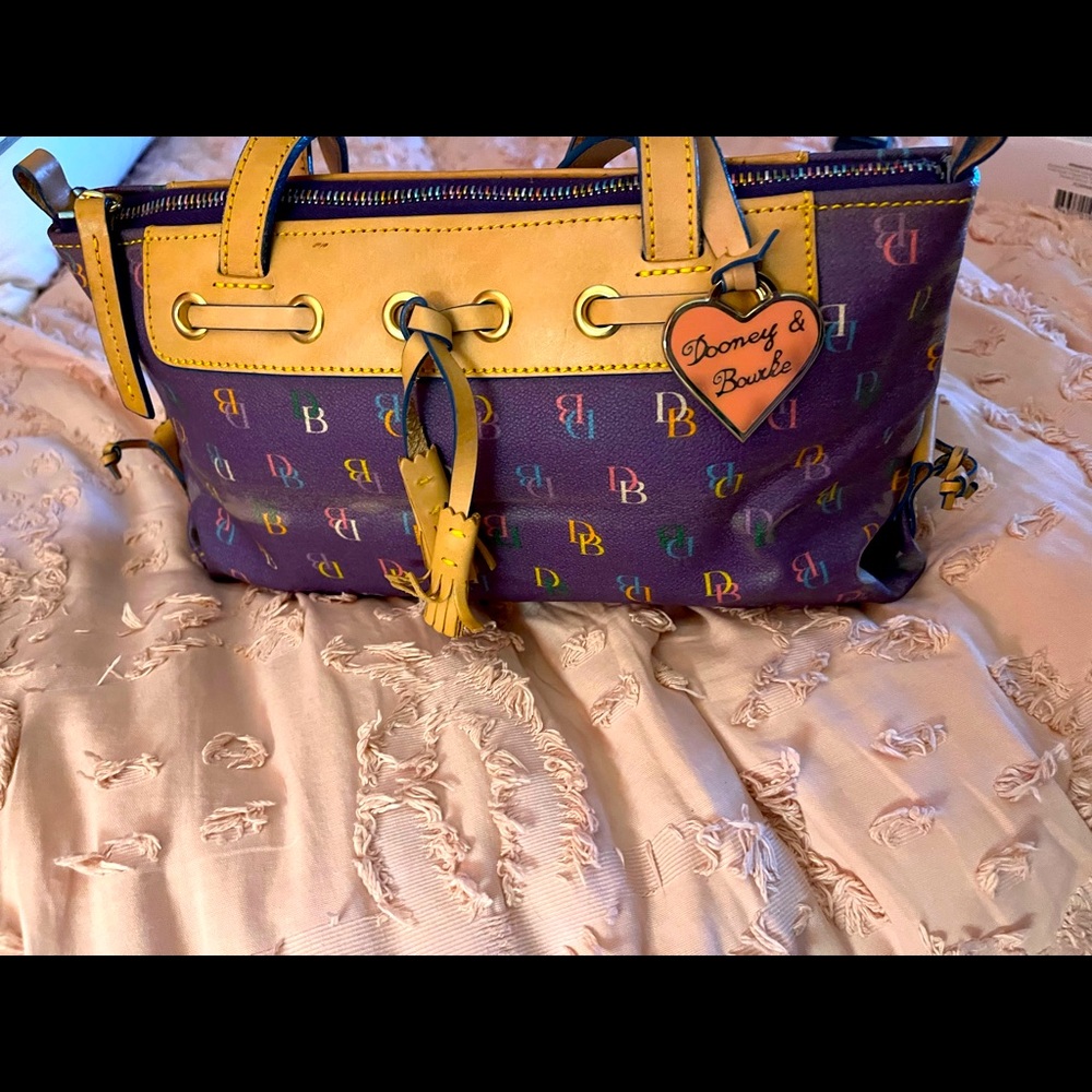 Dooney and Bourke multicolor bag